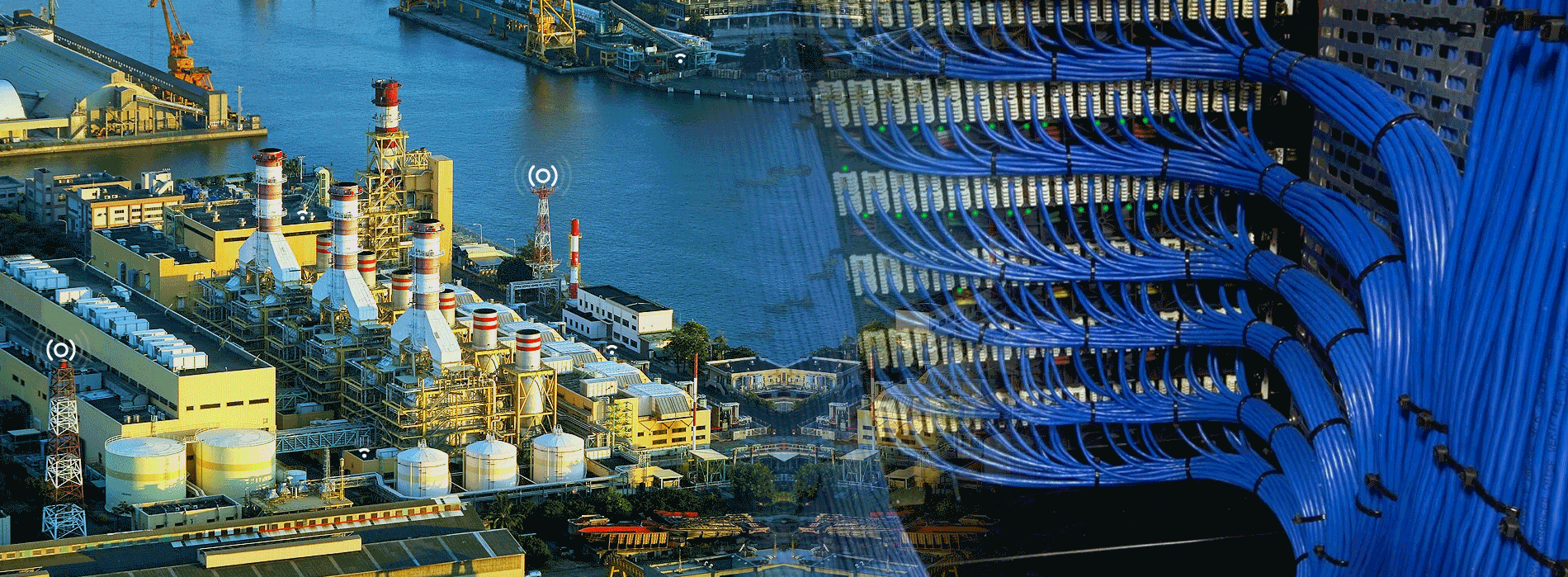 Networking & Wireless Solution